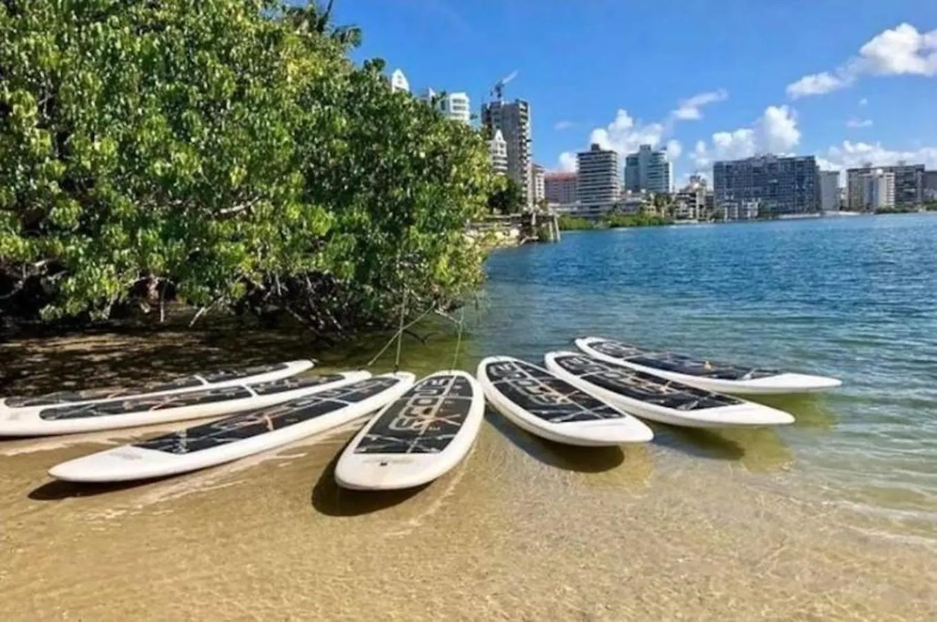 V1 Pr Rentals Big Apartment For Groups San Juan 0*,  Puerto Rico